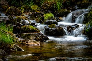Stampfebächle – Sanfte Kaskaden Wasserfälle in Münstertal - 1