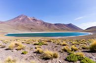Lagune Miscanti dans le désert d'Atacama au Chili sur Shanti Hesse Aperçu