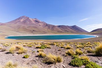 Lagune Miscanti dans le désert d'Atacama au Chili