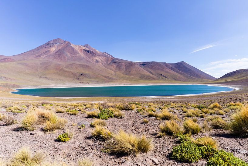Lagune Miscanti dans le désert d'Atacama au Chili sur Shanti Hesse