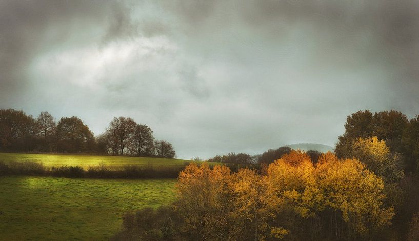 Eifel in November by Dieter Beselt