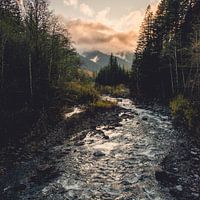 Forest River Adventure Place, Nature Magick 