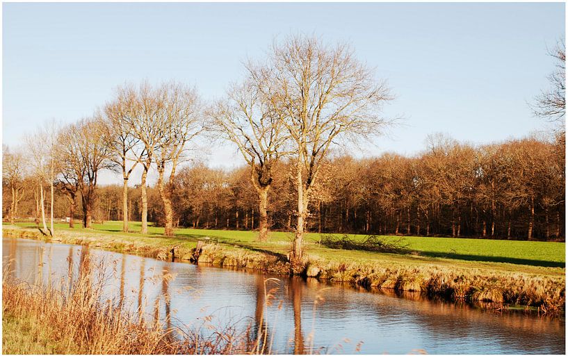 Mooie natuur in Drenthe von Anuska Klaverdijk
