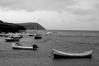 haven