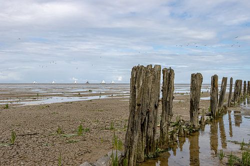 Palen op het Wad