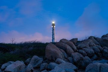 Aruba-Episode: Die Episode am kalifornischen Leuchtturm