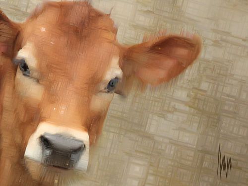 red-and-white calf, cow.