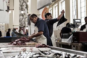 De vismarkt van Max ter Burg Fotografie