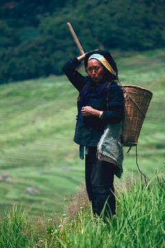 Chinese boerin op rijstveld I