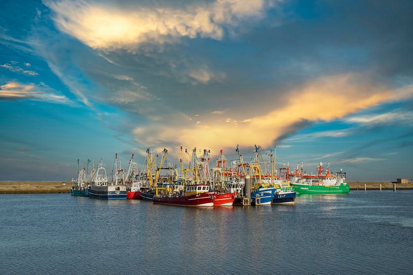 Fischereischiffe im Hafen von Lauwersoog von Gert Hilbink