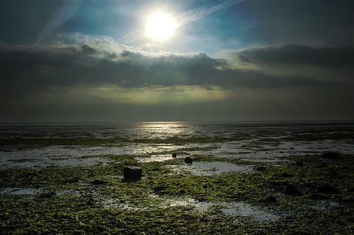 De Schorren - Texel, stefan witte