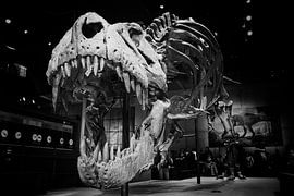 T-Rex-Kopf will Sie angreifen von Atelier Liesjes