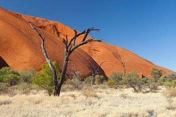 Nula ( Here,there,everywhere)