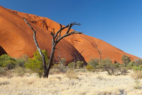 Nula ( Hier, dort, überall)