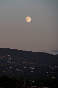 Ibiza-Mond