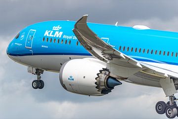 KLM Boeing 787 "Mimosa". by Jaap van den Berg