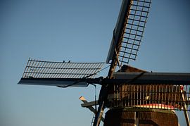 Westfriese Omringdijk 2 van Charlotte Bakker