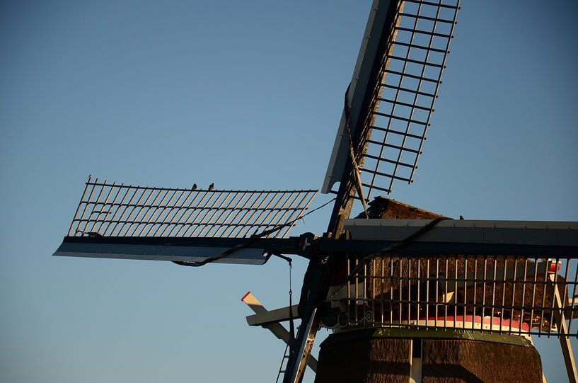 Westfriese Omringdijk 2 by Charlotte Bakker