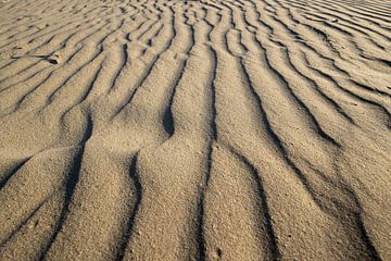 Zandlijnen door de wind - Zandribbels - Zandduinen van Nick van den Berg