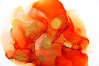 Orange en haut avec des cercles dorés