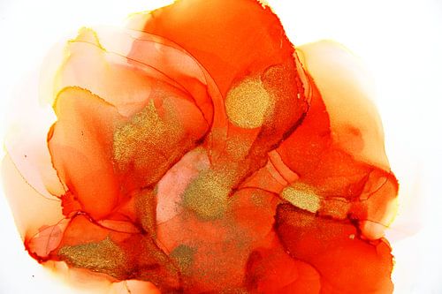 Oranje boven met gouden cirkels