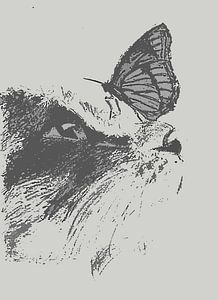 KATZE + SCHMETTERLING GRAU