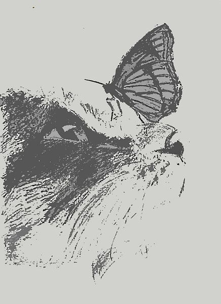 CAT + BUTTERFLY GRAY by Vincent Jacobs