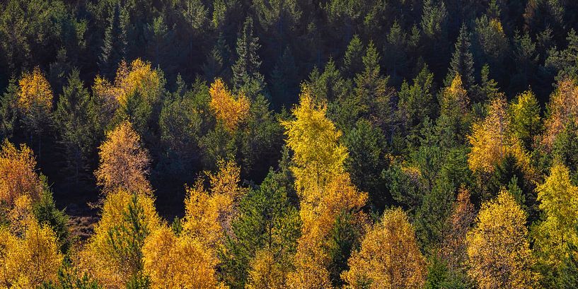 Black Forest in autumn from bird's eye view by Werner Dieterich