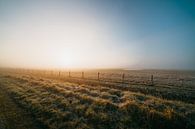 Middelburg cold sunrise 2 van Andy Troy thumbnail