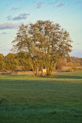 De jachtstoel van de jager voor een boom in een weide in het gouden avondlicht.