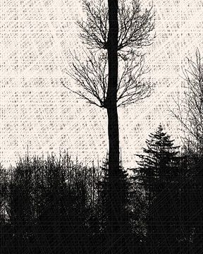 Skandinavische Winter Wald Lichtung Cottage Core von Mad Dog Art