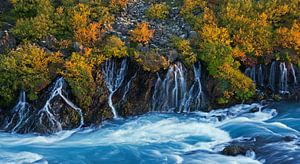 Hraunfossar cascade Islande sur Miranda Bos