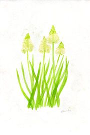 Fleurs de perles blanches sur Sandra Steinke