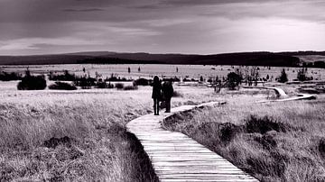 Winter Boardwalk in Hautes des Fagnes (2) van Twan van G.