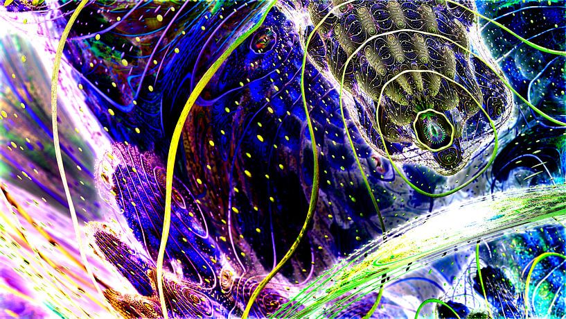 Chaos and beauty by Frank Heinz