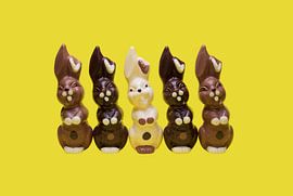 Lapins de Pâques en rangée sur Elisabeth Aardema