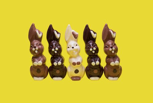 Lapins de Pâques en rangée sur Elisabeth Aardema