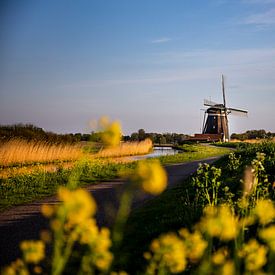 De Nederlandse molen van Eus Driessen