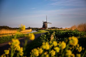 The Dutch mill