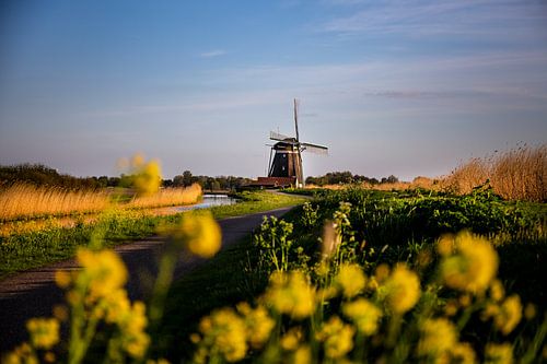The Dutch mill by Eus Driessen