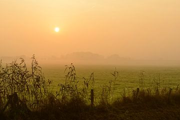 Sunrise over the meadows during a beautiful fall morning by Sjoerd van der Wal