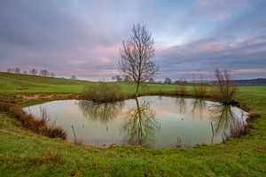 Pool of love. by Philippe Velghe