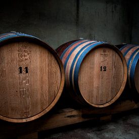 Wine barrels van Michel de Jonge