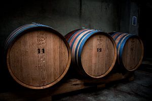 Wine barrels van Michel de Jonge