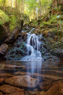 Wasserfall in den Vogesen Cascade de Battion in einer Waldlandschaft von Sjoerd van der Wal Fotografie