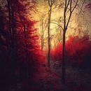 Rubinroter Wald von Dirk Wüstenhagen Miniaturansicht