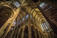 Kölner Dom  von Bart Houx Miniaturansicht