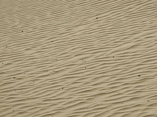 Zandstructuur in de duinen