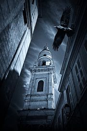 Oiseaux........ sur Wim Schuurmans