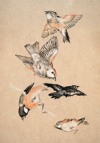 Vogel familie